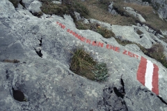 20180908-1138_IMG_3476-LR1865