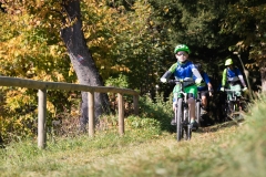20181014-1113_IMG_3280-LR1865