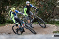 20201014-1710_IMG_2924-LR1865