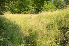 20220615-1835_IMG_1711-LR1865o