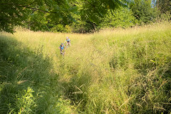 20220615-1835_IMG_1712-LR1865o