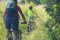 20220615-1836_IMG_1722-LR1865o