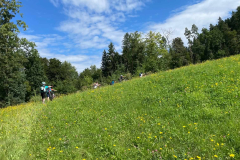 Sommercamps, 2025