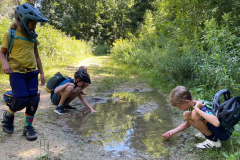 Sommercamps, 2025