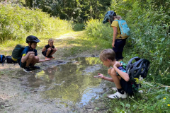 Sommercamps, 2025