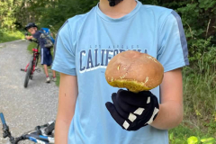 Sommercamps, 2025