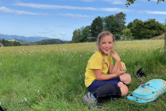 Sommercamps, 2025